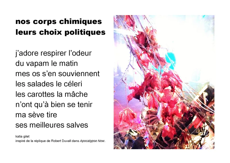 Affiche